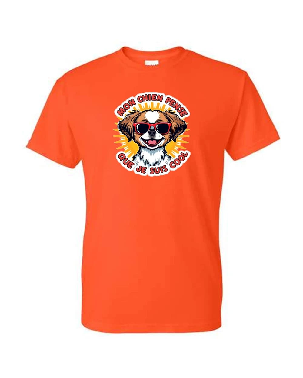 Chien 2 · Orange